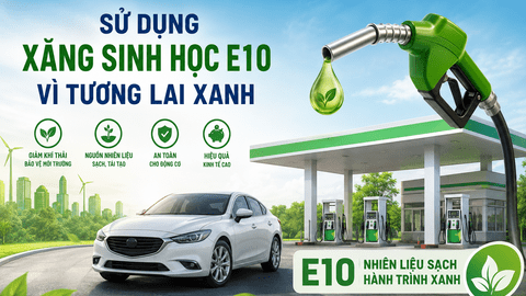 Petrolimex điều chỉnh giá xăng dầu từ 15 giờ 00 phút ngày 20.8.2026