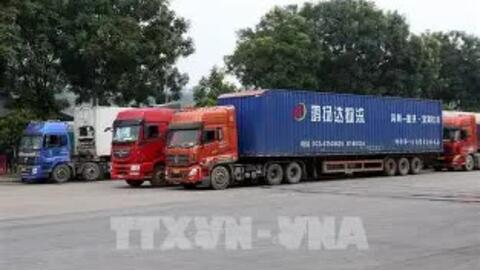 Tình hình xuất nhập khẩu hàng hóa qua các cửa khẩu tỉnh Lạng Sơn ngày 15/4/2026
