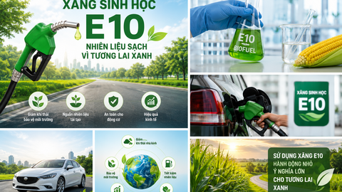 Petrolimex điều chỉnh giá xăng dầu từ 15 giờ 00 phút ngày 27.8.2026
