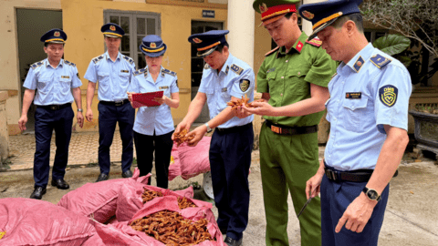 Phát hiện, ngăn chặn 1.500 kg chân gà không rõ nguồn gốc xuất xứ